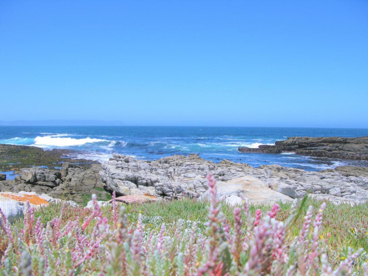 Beachfront Cottage - Hermanus Whale View Екстериор снимка