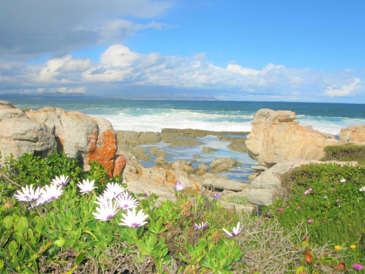 Beachfront Cottage - Hermanus Whale View Екстериор снимка