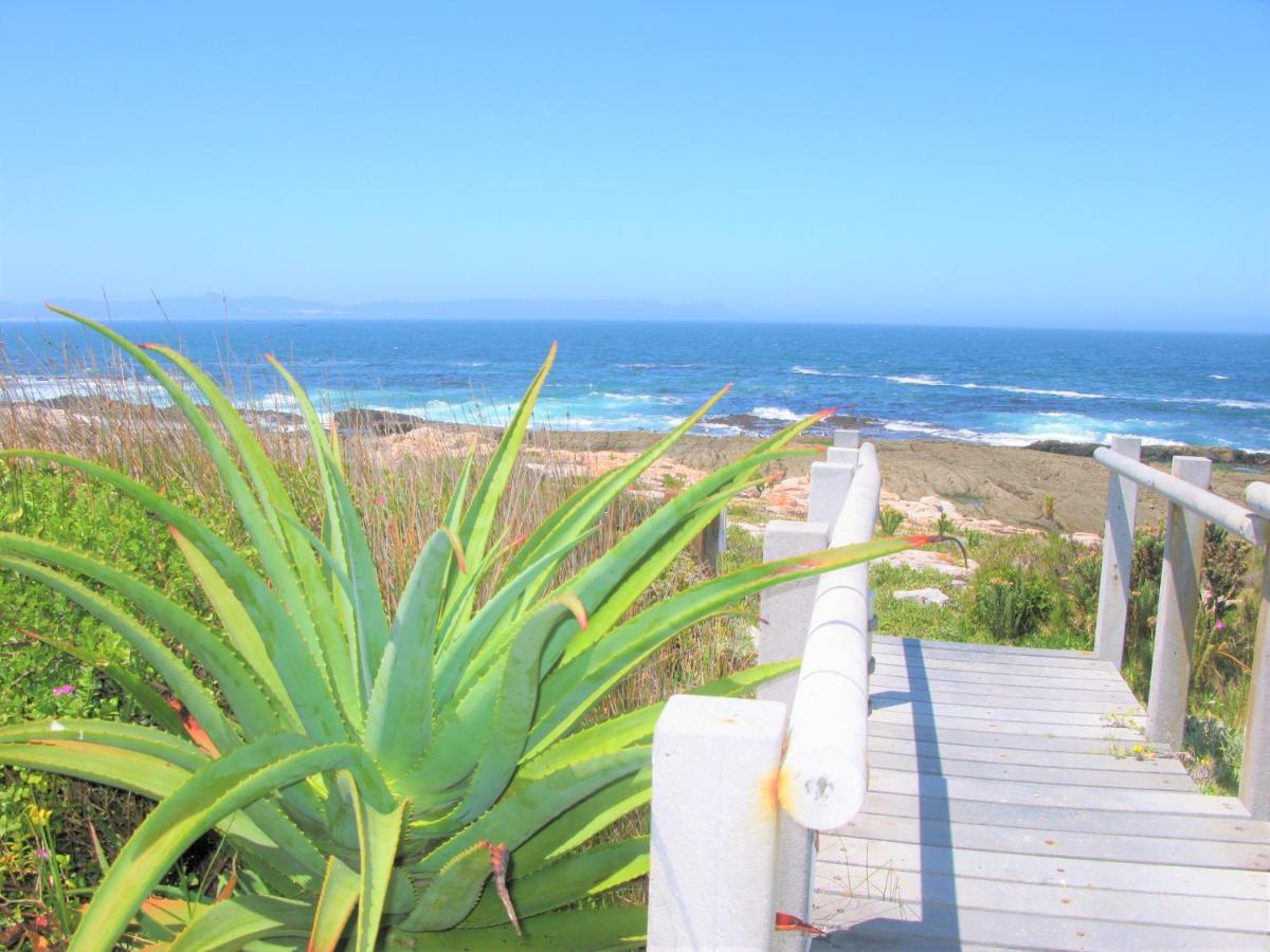 Beachfront Cottage - Hermanus Whale View Екстериор снимка