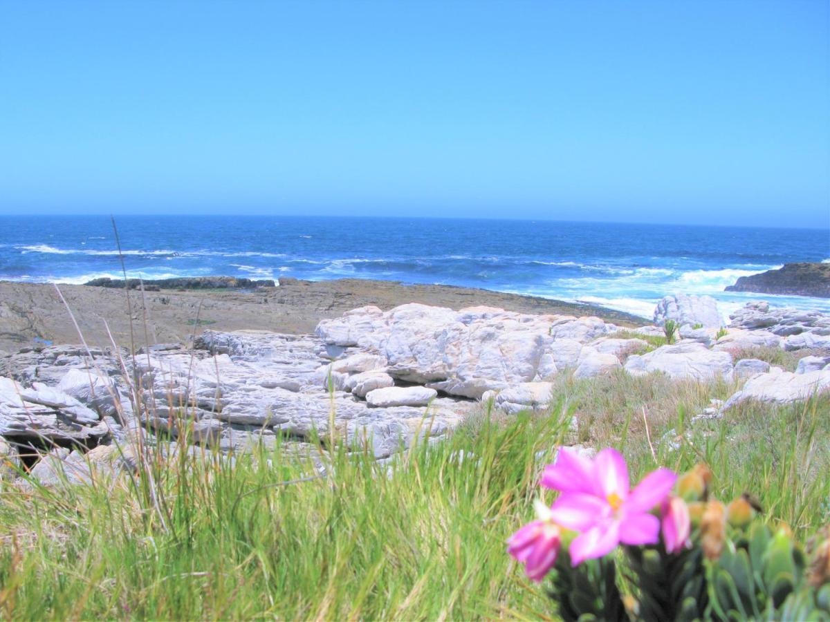 Beachfront Cottage - Hermanus Whale View Екстериор снимка