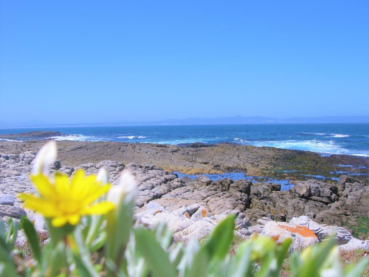 Beachfront Cottage - Hermanus Whale View Екстериор снимка